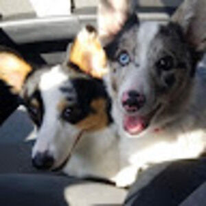 Meet your Posher, Staci